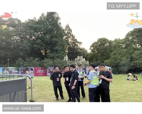 杭州排球队重塑辉煌之路的反击革新与未来展望